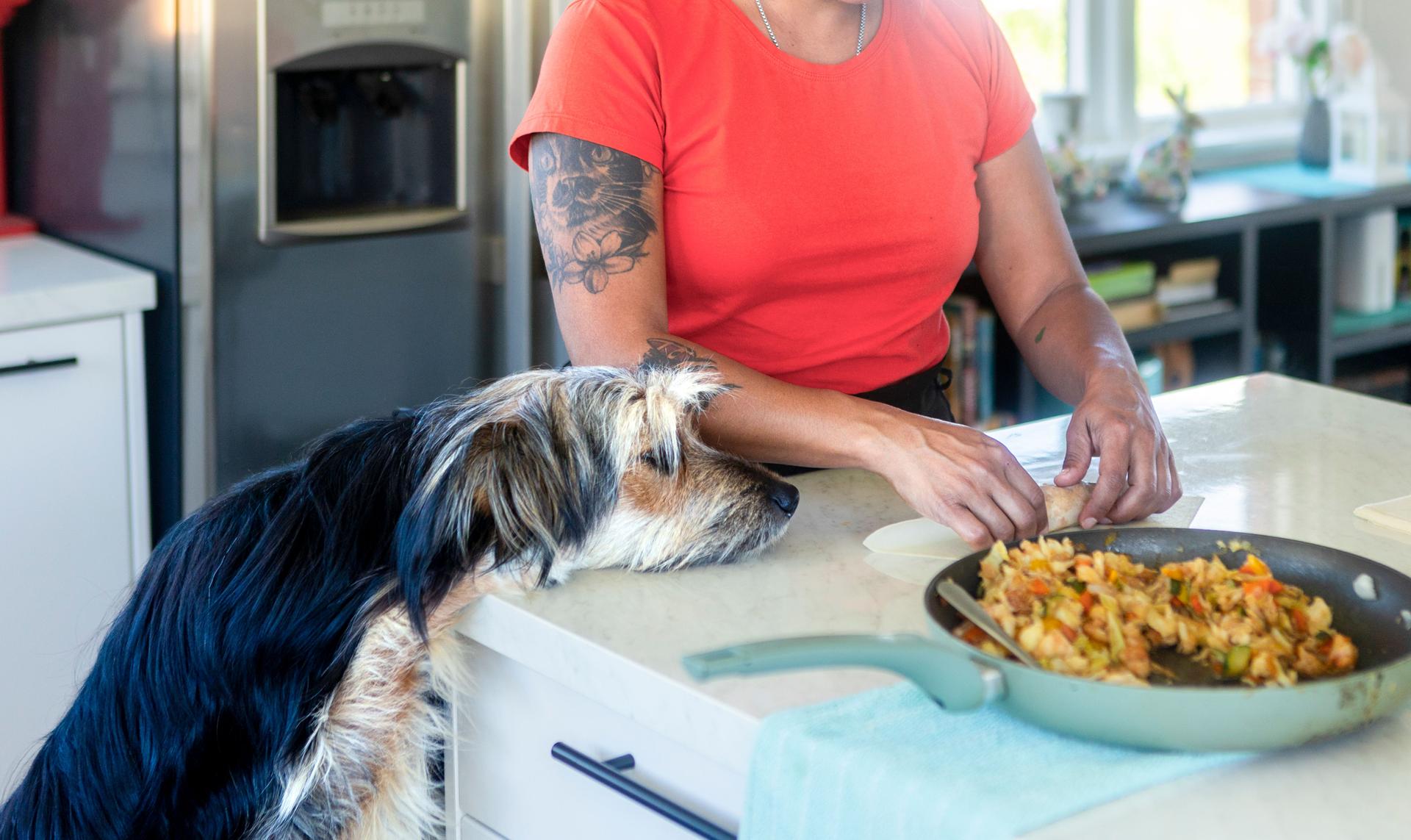 Woman preparing spring rolls with her dog watching her in the kitchen