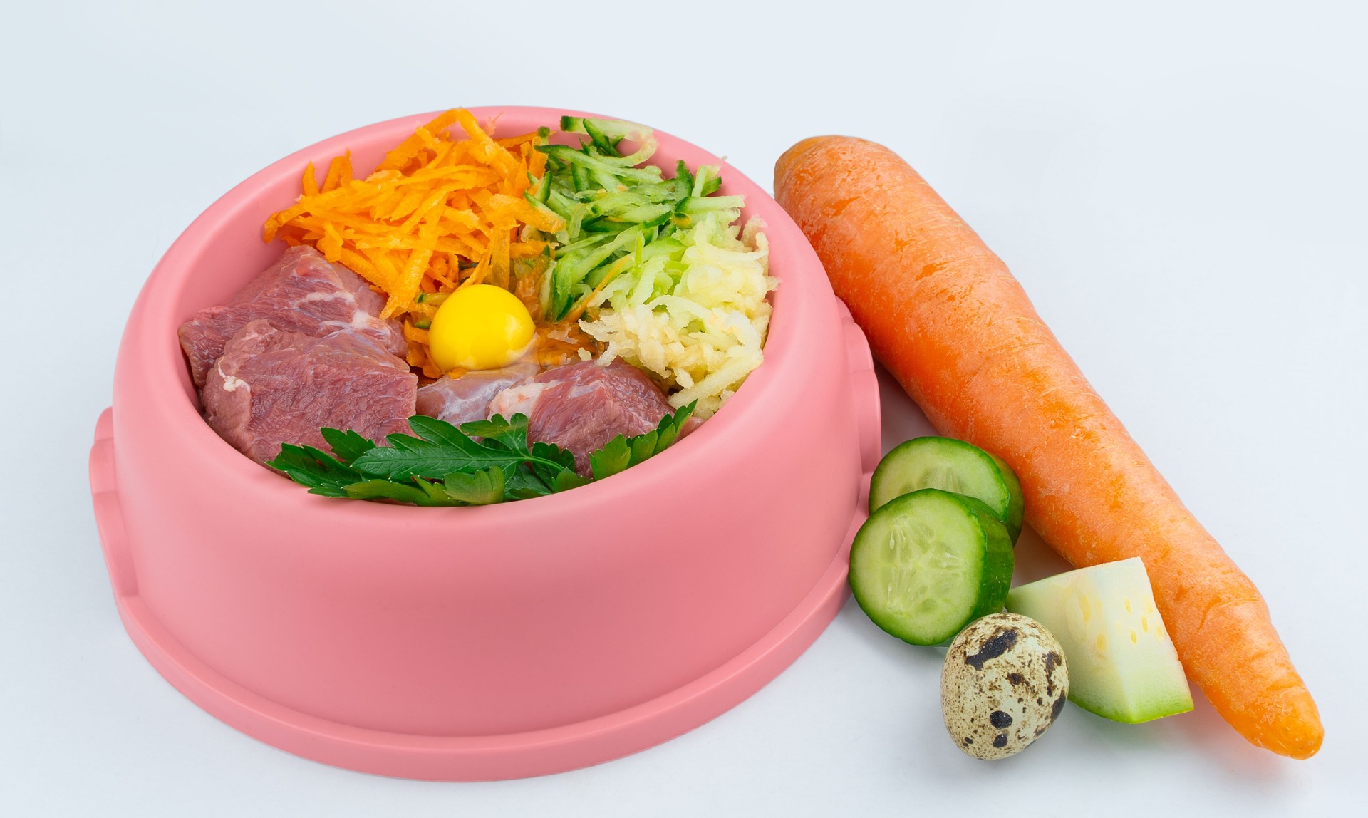 ink bowl with natural food for dogs.